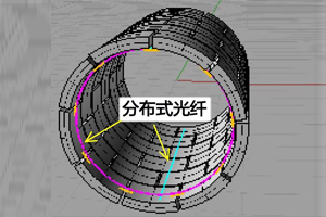 管廊結(jié)構(gòu)健康與安全在線(xiàn)監(jiān)測(cè)系統(tǒng)（光纖微形變）